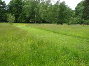 Gestion différenciée des espaces verts 2