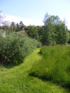 Gestion différenciée des espaces verts 4