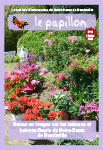 papillon14_fevrier2018